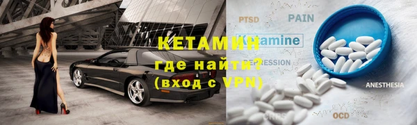 прущие грибы Заводоуковск