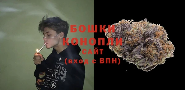 прущие грибы Заводоуковск