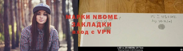 прущие грибы Заводоуковск