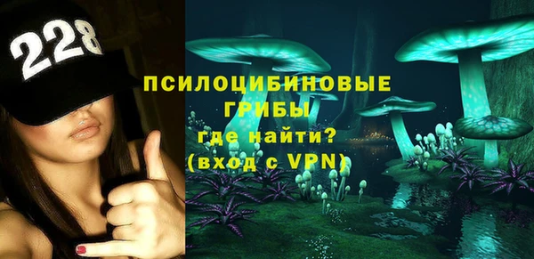 прущие грибы Заводоуковск