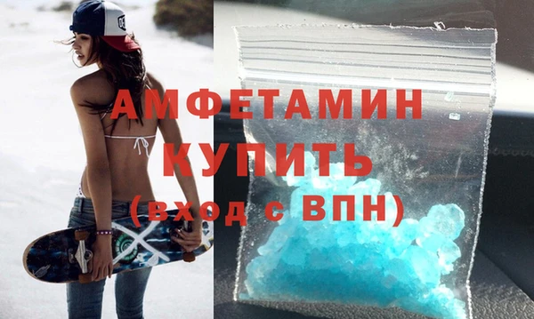 прущие грибы Заводоуковск