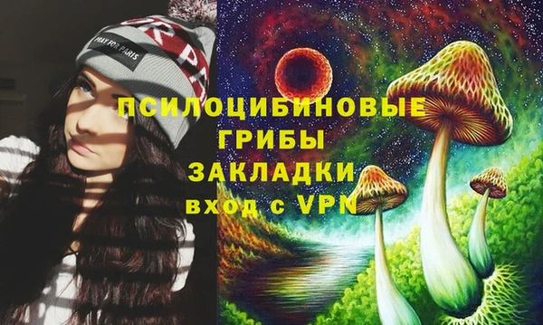 прущие грибы Заводоуковск