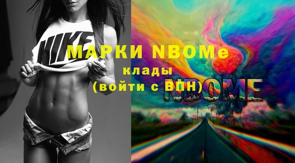 прущие грибы Заводоуковск